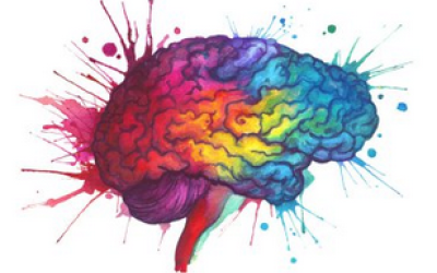 Es pot aplicar la neurociència a l'eduació? Entendre el cervell en els processos d'aprenentatge