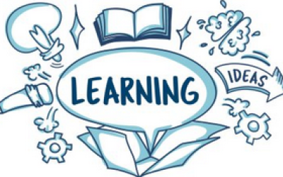 Activos de aprendizaje: una visión del aprendizaje en el entorno
