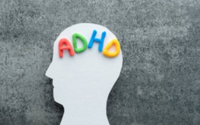 Aplicaciones de la neurociencia en el aula: recomendaciones para optimizar el aprendizaje