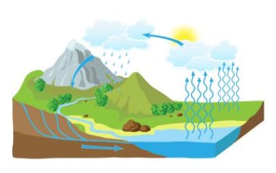 Le cycle de l'eau