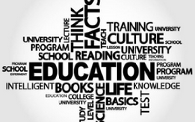Educació i valors