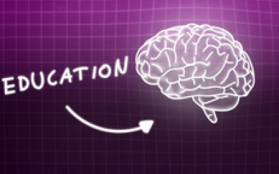Las funciones ejecutivas en el marco de la neuroeducación: una revisión de los factores que han demostrado mayor impacto en las propuestas de intervención en los contextos escolares