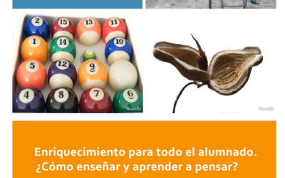 Enriquecimiento para todo el alumnado. ¿Cómo enseñar y aprender a pensar?