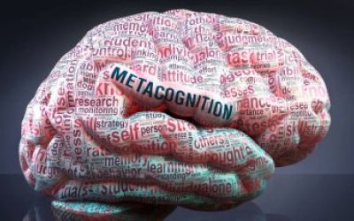 La métacognition : bases théoriques et indications pratiques pour l'enseignement et la formation