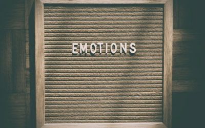 El Diari Emocional. Identifiquem emocions