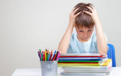Neurodéveloppement des fonctions exécutives chez l’élève de l’école primaire en difficulté d’apprentissage