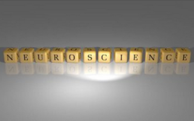 Aportes del conocimiento neurocientífico a la enseñanza de la lectoescriptura