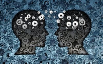 La relación problemática entre neurociencias y educación. Condiciones y análisis crítico