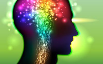 Neurodidáctica como propuesta para mejorar los procesos de aprendizaje