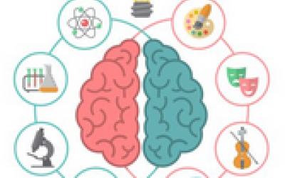 Neuroeducación: de la neurociencia al aula