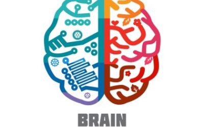 Neuroeducación y teatro del oprimido: una propuesta neurodidáctica fascinante