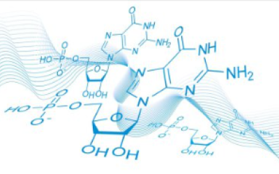 L’evolució històrica del concepte d’afinitat química: un continuat intent de trobar una explicació a per què tenen lloc les reaccions químiques