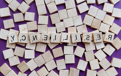  Resiliència