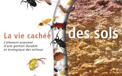 La vie cachée des sols